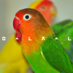 The First Day That She Had Cried (Pipe Opener Remix By DJ Magik Cool J Of MonZon)