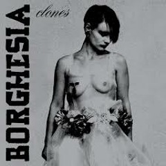 Borghesia ZMR