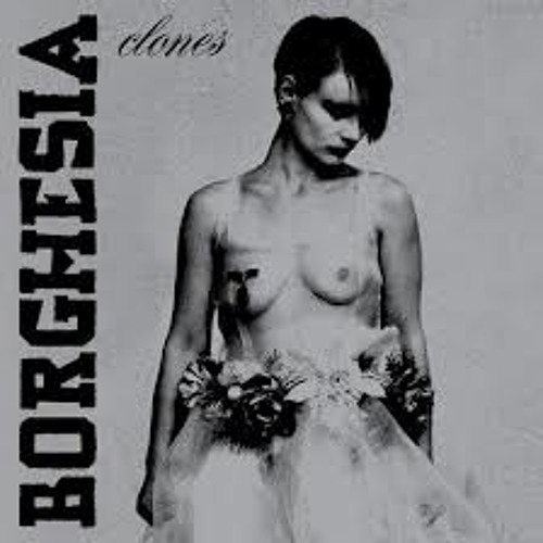 Borghesia ZMR