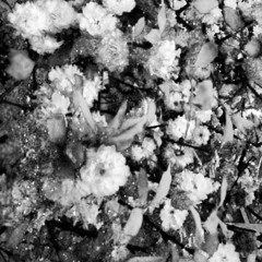 why won't you realize yourself?