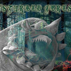 Dark Cygnus - Space Destiny ( HippyFlip Records - VA - Disturbed Forest )
