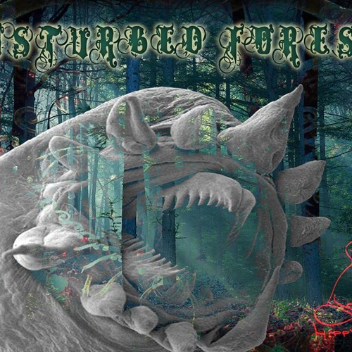 Dark Cygnus - Space Destiny ( HippyFlip Records - VA - Disturbed Forest )