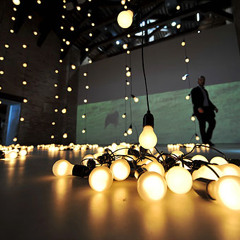 MatDPhantaT- Trapstep