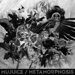 Owl Path / Metamorphosis (2014)