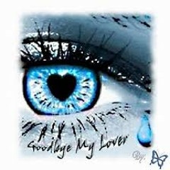 James Blunt  " Goodby my lover "  Cover