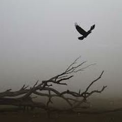 Afterlife XIVa ft Spider sneak peek