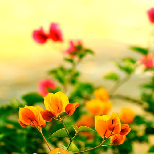 What Make You Beautiful - Jun Sung Ahn - Violin cover