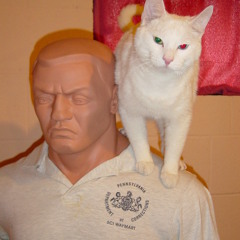 Bruce,ev,beeb Structured groove