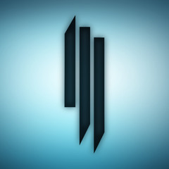 SKRILLEX MIX breaking a ruffnek