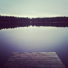 What The Water Gave Me