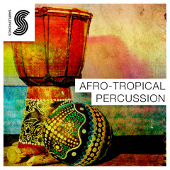 Afro-Tropical Percussion Demo 01
