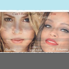 Shakira - Cant Remember to Forget You ft. Rihanna Remix (David Jedom)