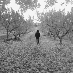 Caminando ( over Drez Worldz )