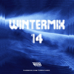 TORRO TORRO - WINTER MIX '14 - EDM.COM Exclusive