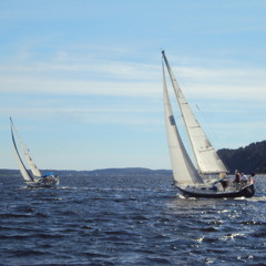 CatchTheWind (Donovan)