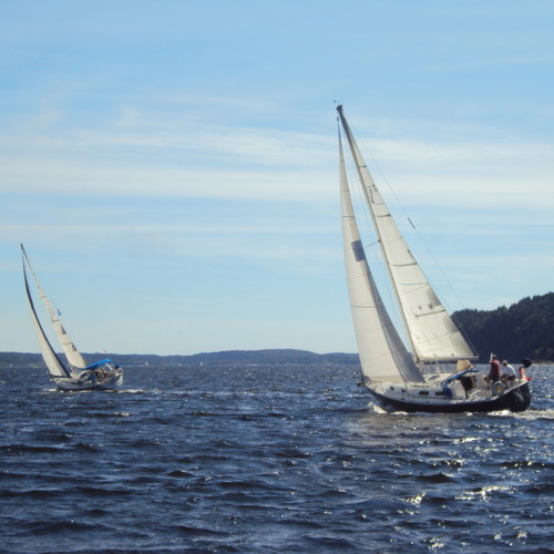 CatchTheWind (Donovan)