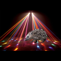 StilleRingtoneMaarTochNiet