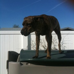 Show Me Something .. Mpj .. Fyl