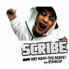 Scribe - Not Many (Greg Churchill Bootymash)