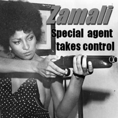 Zamali - Special Agent Takes Control 96 kbps