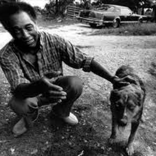 R.L. Burnside (Shake Em On Down)