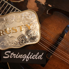 Won't Get Fooled Again