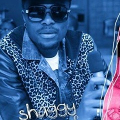 Shaggy Sharoof- Soit POSEY
