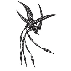 Hafið (Acoustic Version)