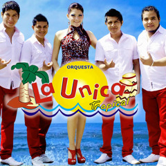 HE DECIDIDO IR A BUSCARTE - LA UNICA TROPICAL 2014