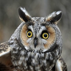 CMND/CTRL Playthrough