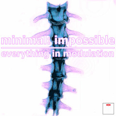 Minimal: Impossible - Everything In Modulation - Live PA Buenos Aires, Argentina - 31/01/14