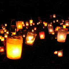 The Old Walking Path and Co. 1905