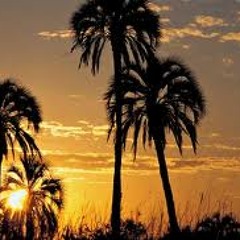 El Palmar