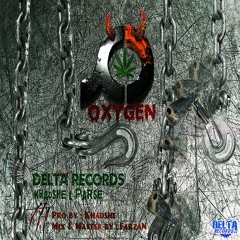 Delta Record(Khadshe& Parse) -
