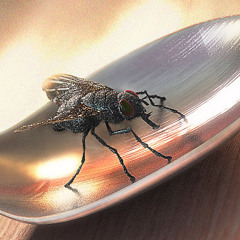 Mod - Fly on a spoon