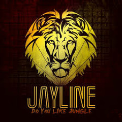 Jayline - Do You Like Jungle (Original Mix)