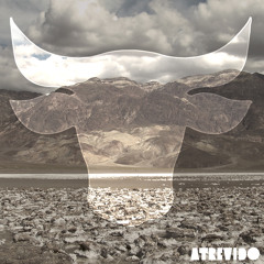 Terrasoliloquy - Atrevido [Death is a Navigator EP] (Released on Etcetera 2014)