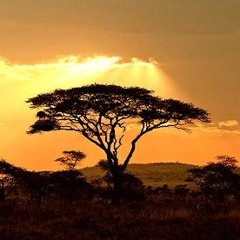 Eli Samde-Zombie Killer