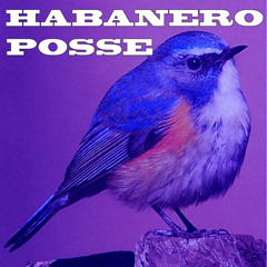 30min Habanero Posse's Mix for Zip FM Jan 2014