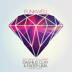 Funkwell feat. Dashius Clay & Fader Lima - Say What You Want (Extended Mix)