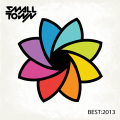 BEST OF 2013 ✖ SMALLTOWN DJS  (PSA)