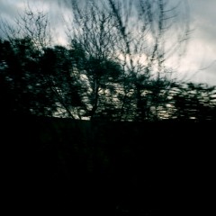 Look Beyond
