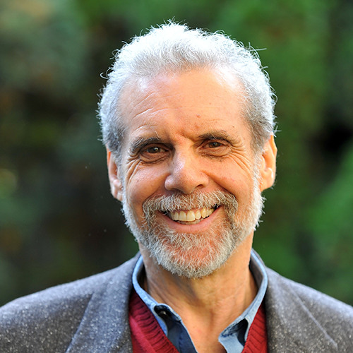 Download Daniel Goleman On Focus: The Secret to High Performance and Fulfilment