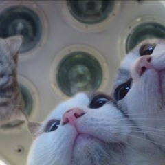 Expectation - 140207