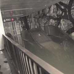 Coffee with Sandy and the Cats