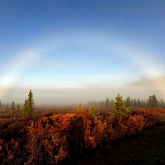 Fogbow over the Cowichan Valley [Spaceal Orbeats - In Search for an Explanation LP]