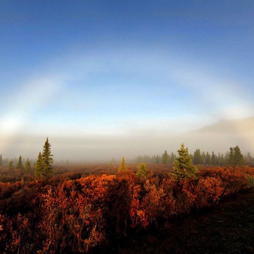 Fogbow over the Cowichan Valley [Spaceal Orbeats - In Search for an Explanation LP]