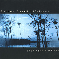 Carbon Based Lifeforms - Central Plains