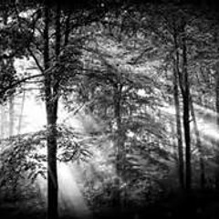 Dark Horse (w/open verse)