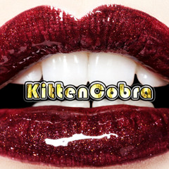 Kitten Cobra Party